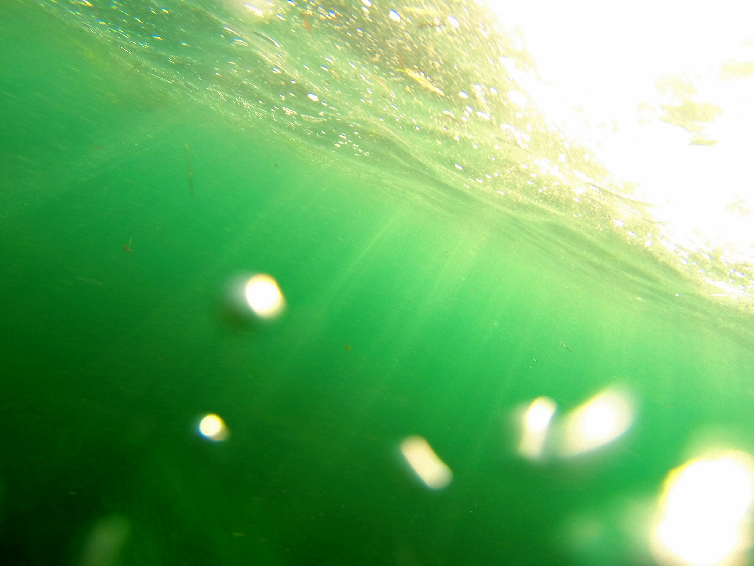 GoPro photo with camera just under surface off Newport Coast and looking up at sky through green water