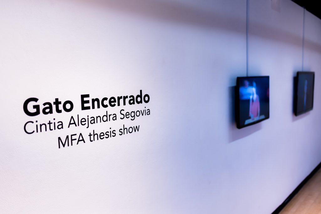 <i>Gato Encerrado,</i> Cintia Segovia, Merlino Gallery, October 2017