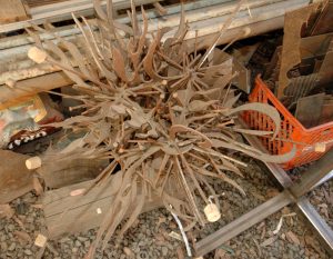 A welded metal Icosahedron featuring many small pieces of rod, nails, and other elements articulating the core armature of an icosahedron