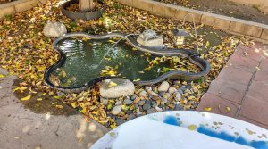 table by a pond