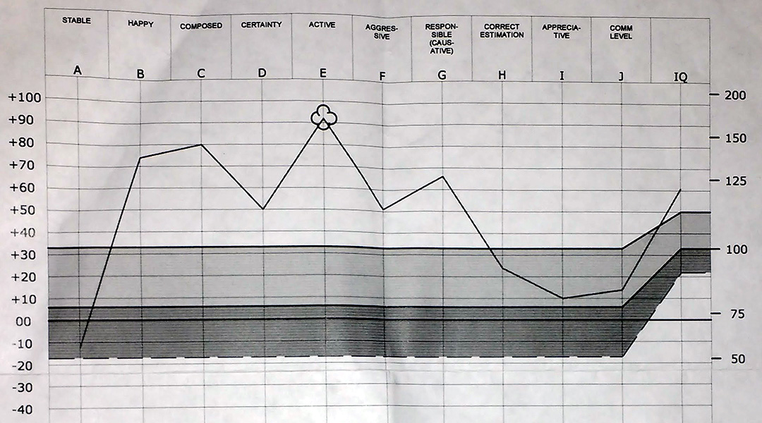 detail view of a Scientology "Oxford Capacity Analysis"