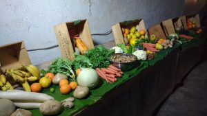 fruit & vegetables on a long wooden platform against a wall