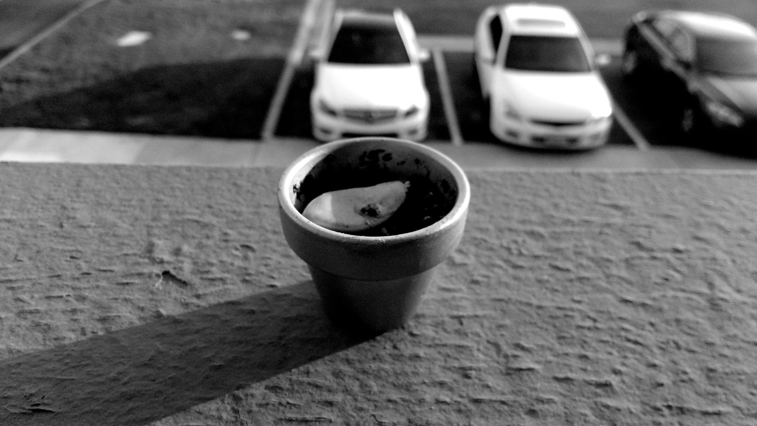 a tiny terracotta pot on the ledge of an apartment balcony in Newport Beach, CA