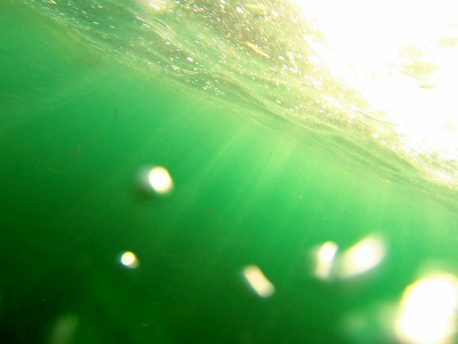 GoPro photo with camera just under surface off Newport Coast and looking up at sky through green water