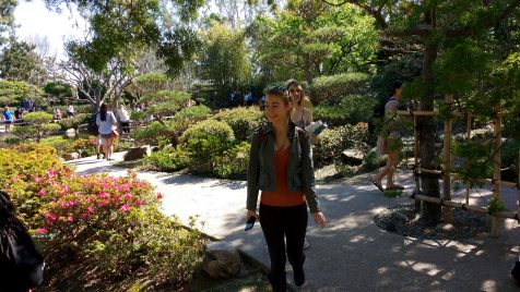 students meandering through the Earl Burns Miller Japanese Garden at CSULB