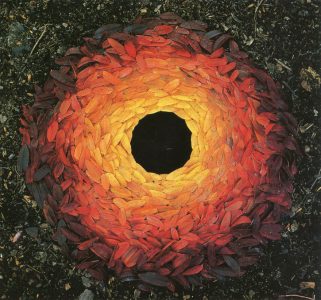 Andy Goldsworthy, Rowan Leaves and Hole. 1987