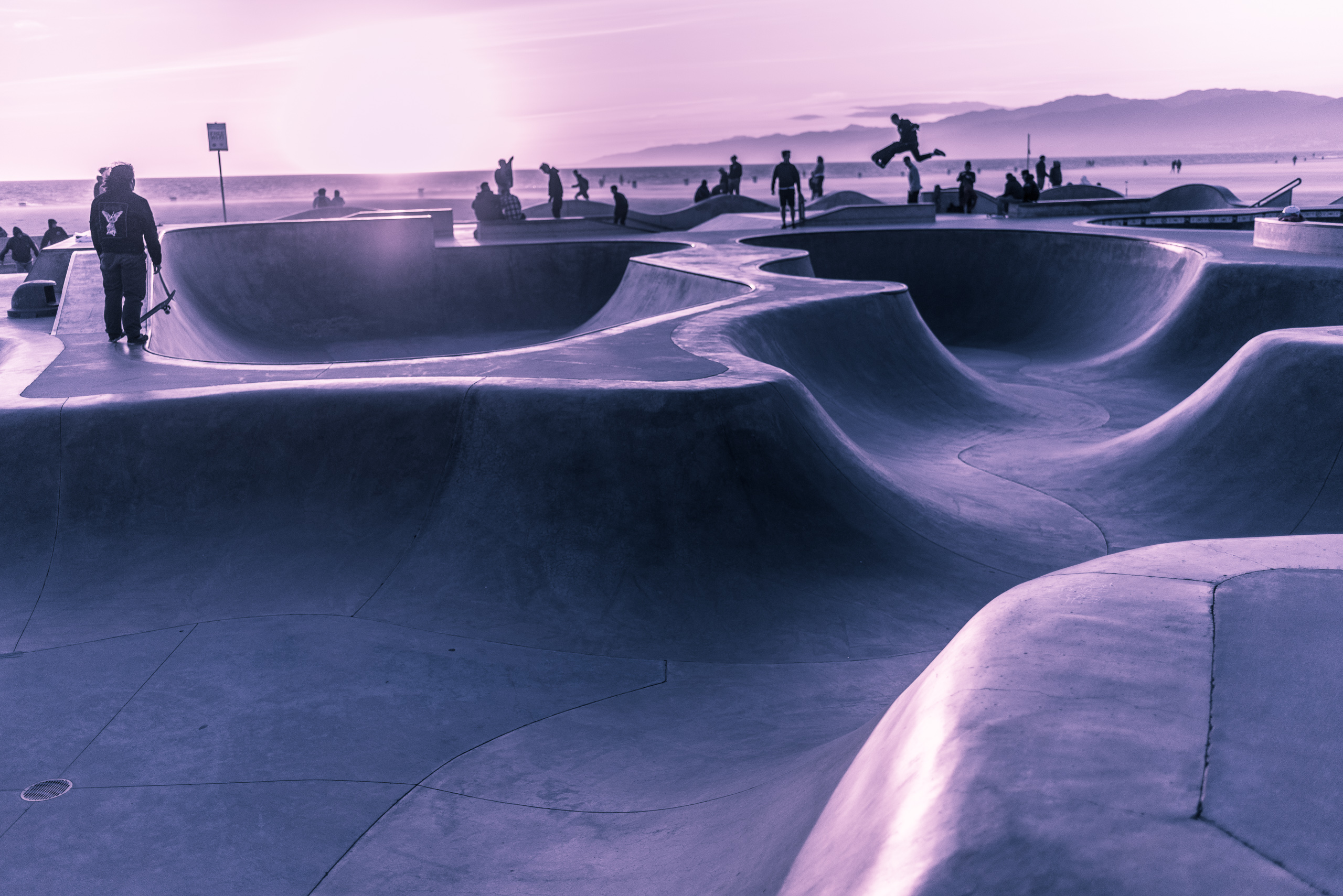 Photo at dusk looking across the many areas of the Venice Beach Skate Park. Skaters stand and skate at different points, with one skater high in the air above the pool.