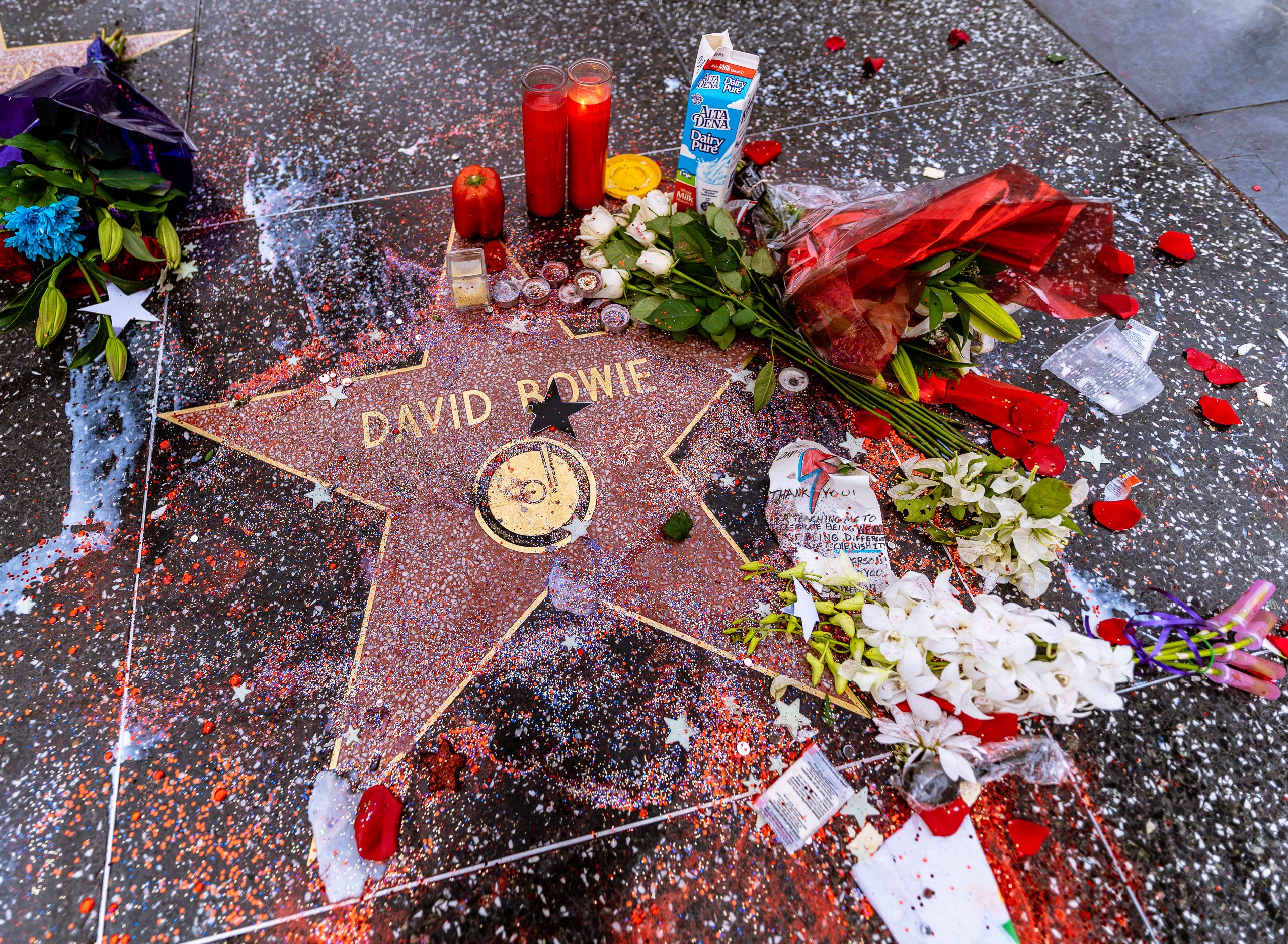 photo of David Bowie's star on Hollywood Blvd